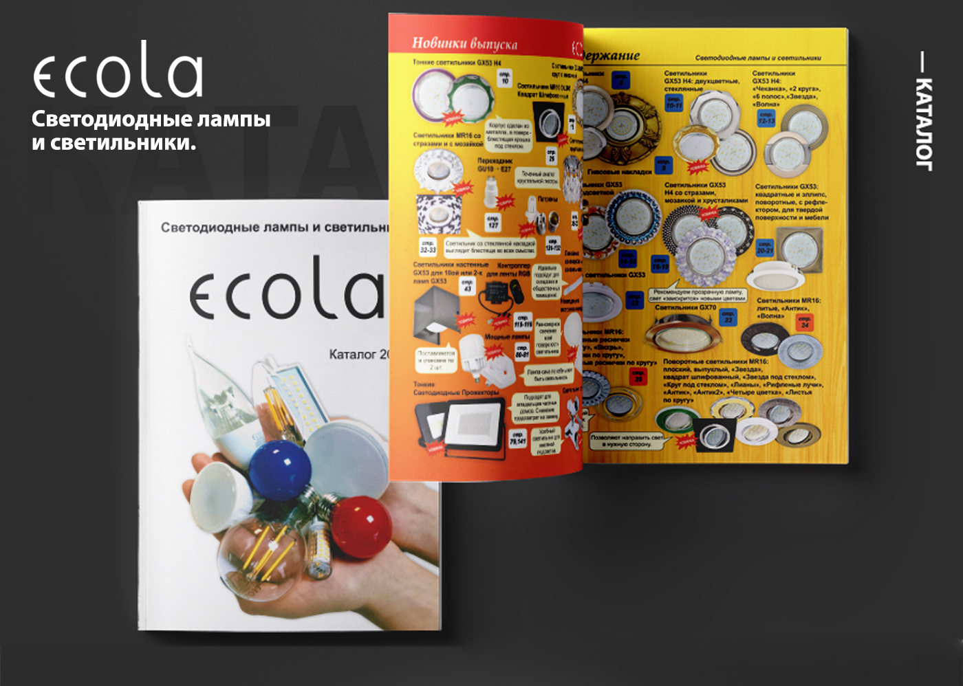 Poligraphic design ECOLA